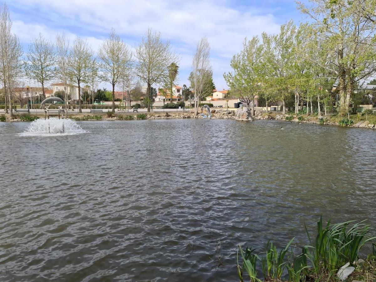 Location De Vacances Dans Maison Catalane Bompas (Pyrenees-Orientales) Exterior foto
